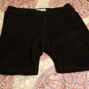 Torrid Black Jeans